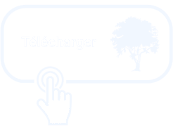 Download document
